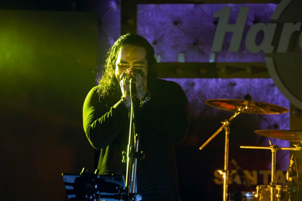 SABBRA KHADABRA (GATO, FER)-32