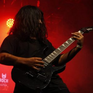 Anatomy band (16)