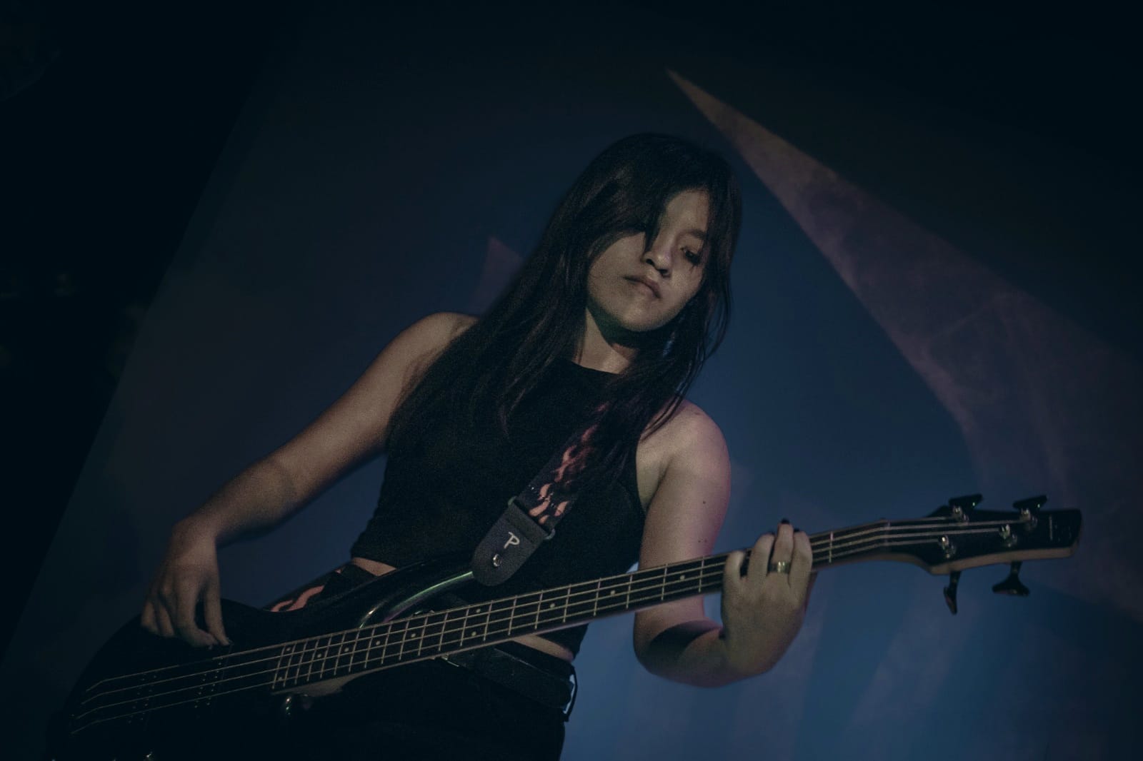Anatomy band (6)